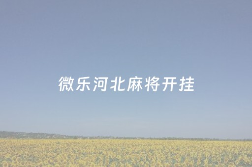 微乐河北麻将开挂（微乐河北麻将开挂神器）