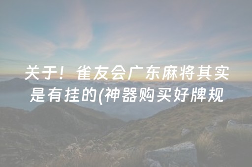 关于！雀友会广东麻将其实是有挂的(神器购买好牌规律)