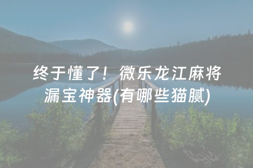 终于懂了！微乐龙江麻将漏宝神器(有哪些猫腻)