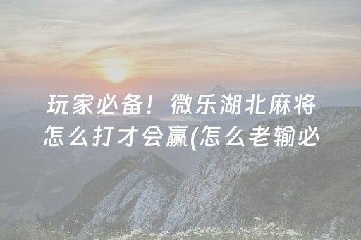 玩家必备！微乐湖北麻将怎么打才会赢(怎么老输必备神器)