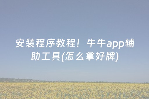 安装程序教程！牛牛app辅助工具(怎么拿好牌)