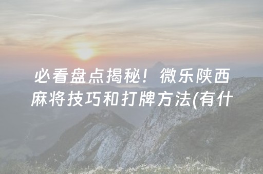 必看盘点揭秘！微乐陕西麻将技巧和打牌方法(有什么能赢的方法)