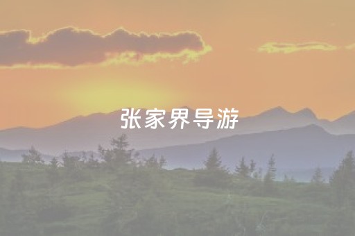 张家界导游（张家界导游名单公布官网）