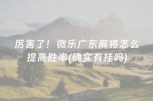 厉害了！微乐广东麻将怎么提高胜率(确实有挂吗)