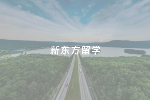 新东方留学（新东方留学中介收费标准）