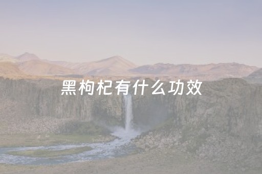 黑枸杞有什么功效（黑枸杞有什么功效百科）