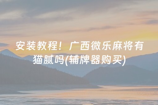 安装教程！广西微乐麻将有猫腻吗(辅牌器购买)