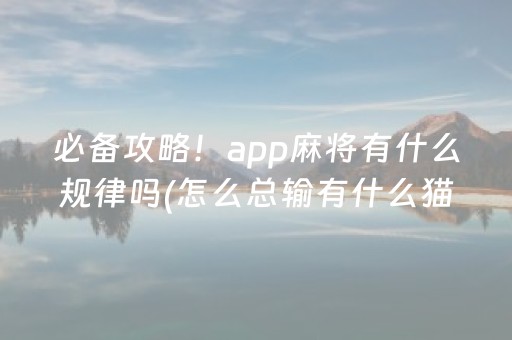 必备攻略！app麻将有什么规律吗(怎么总输有什么猫腻)