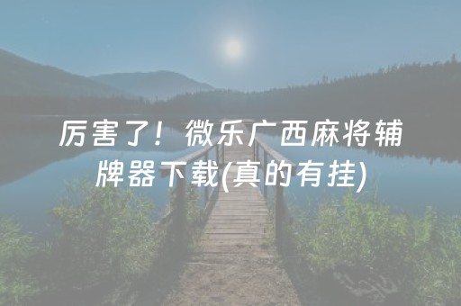 厉害了！微乐广西麻将辅牌器下载(真的有挂)