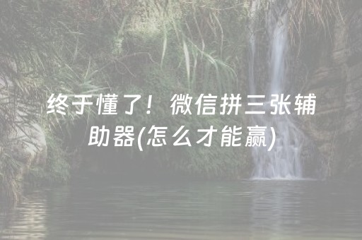 终于懂了！微信拼三张辅助器(怎么才能赢)