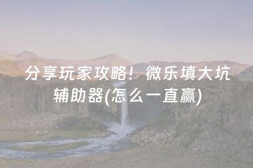 分享玩家攻略！微乐填大坑辅助器(怎么一直赢)