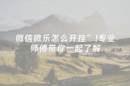 微信微乐怎么开挂”!专业师傅带你一起了解（详细教程）-知乎