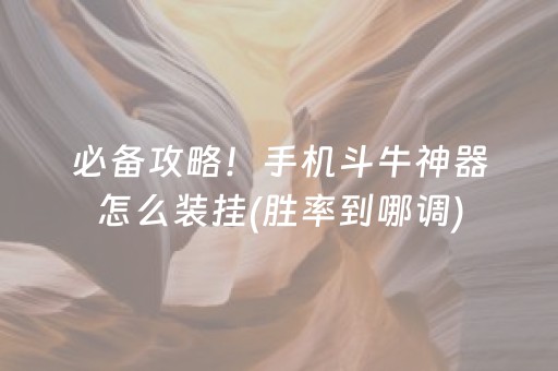 必备攻略！手机斗牛神器怎么装挂(胜率到哪调)