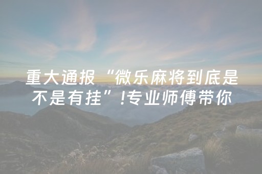 重大通报“微乐麻将到底是不是有挂”!专业师傅带你一起了解（详细教程）-知乎