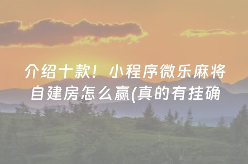 介绍十款！小程序微乐麻将自建房怎么赢(真的有挂确实有挂)