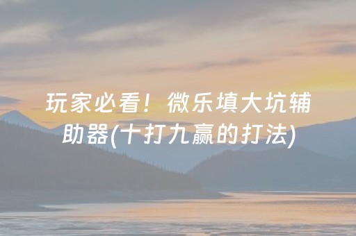 玩家必看！微乐填大坑辅助器(十打九赢的打法)