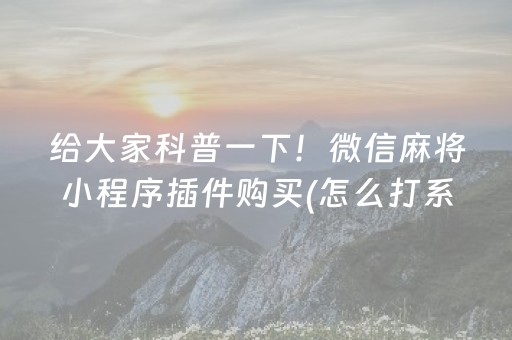 给大家科普一下！微信麻将小程序插件购买(怎么打系统才能给好牌)