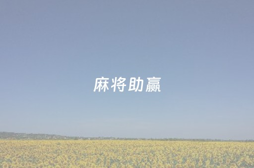 麻将助赢（麻将助赢哪个好）