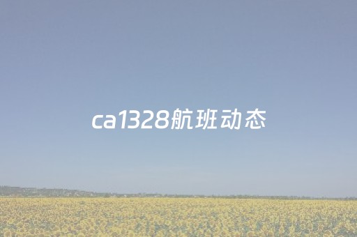 ca1328航班动态（ca1388航班动态）