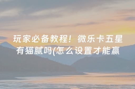 玩家必备教程！微乐卡五星有猫腻吗(怎么设置才能赢)