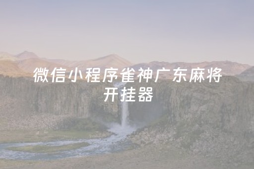 微信小程序雀神广东麻将开挂器（雀神广东麻将小程序开挂教程）