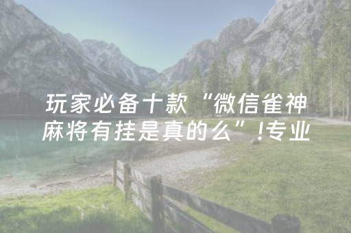 玩家必备十款“微信雀神麻将有挂是真的么”!专业师傅带你一起了解（详细教程）-知乎