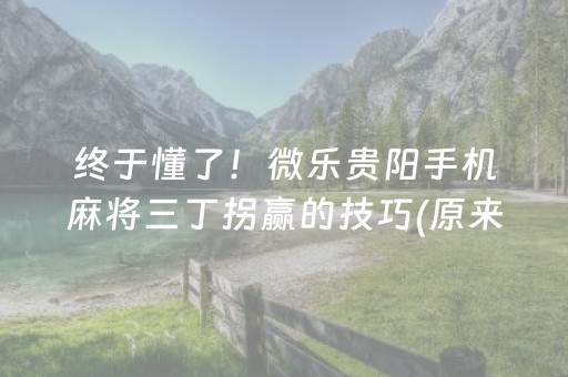 终于懂了！微乐贵阳手机麻将三丁拐赢的技巧(原来真的有挂)