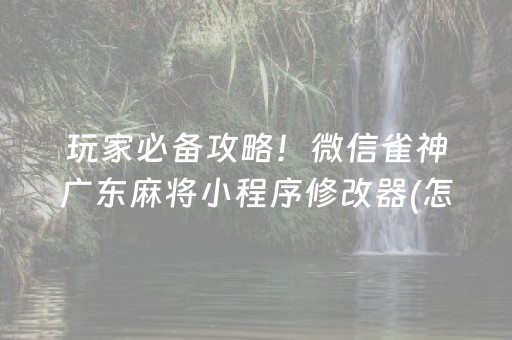 玩家必备攻略！微信雀神广东麻将小程序修改器(怎么才能起到好牌)