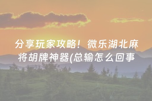 分享玩家攻略！微乐湖北麻将胡牌神器(总输怎么回事)