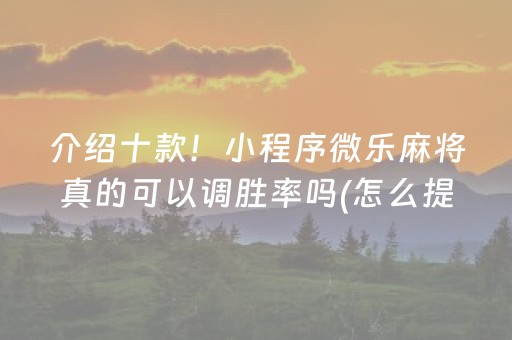 介绍十款！小程序微乐麻将真的可以调胜率吗(怎么提高胜率)