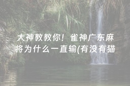 大神教教你！雀神广东麻将为什么一直输(有没有猫腻)