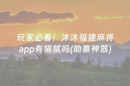 玩家必看！沐沐福建麻将app有猫腻吗(助赢神器)