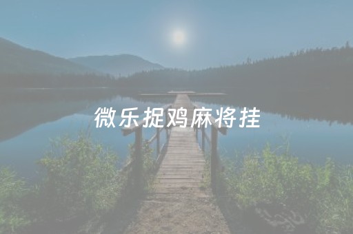 微乐捉鸡麻将挂（微乐捉鸡麻将挂安装）