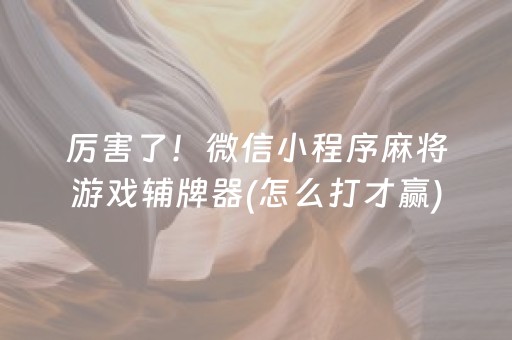 厉害了！微信小程序麻将游戏辅牌器(怎么打才赢)