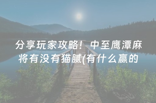 分享玩家攻略！中至鹰潭麻将有没有猫腻(有什么赢的技巧)