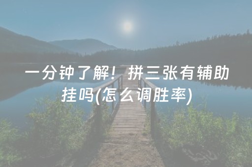 一分钟了解！拼三张有辅助挂吗(怎么调胜率)