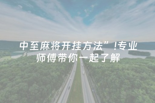 中至麻将开挂方法”!专业师傅带你一起了解（详细教程）-知乎