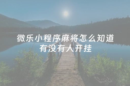 微乐小程序麻将怎么知道有没有人开挂（如何知道微乐麻将有没有开挂）