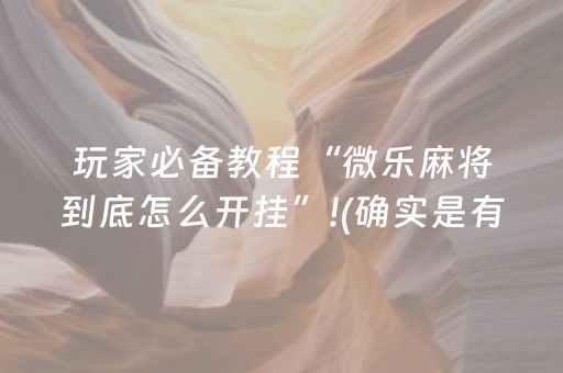 玩家必备教程“微乐麻将到底怎么开挂”!(确实是有挂)-知乎