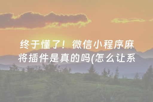 终于懂了！微信小程序麻将插件是真的吗(怎么让系统给你发好牌)