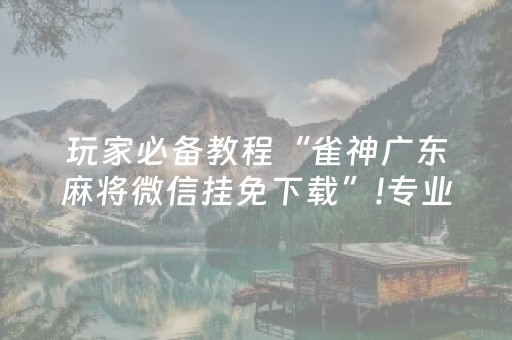 玩家必备教程“雀神广东麻将微信挂免下载”!专业师傅带你一起了解（详细教程）-知乎