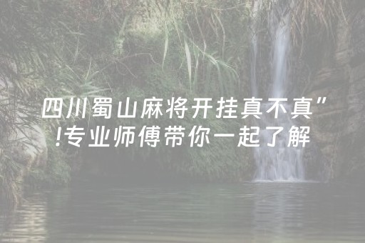 四川蜀山麻将开挂真不真”!专业师傅带你一起了解（详细教程）-知乎