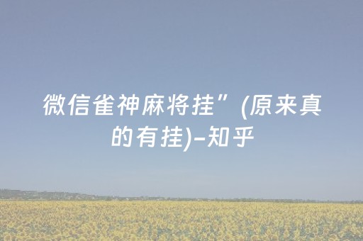 微信雀神麻将挂”(原来真的有挂)-知乎