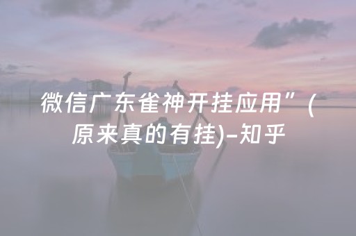 微信广东雀神开挂应用”(原来真的有挂)-知乎