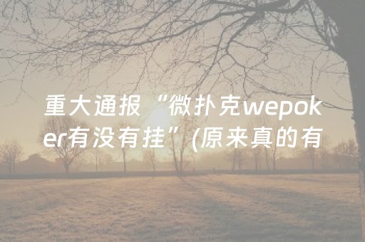 重大通报“微扑克wepoker有没有挂”(原来真的有挂)-知乎