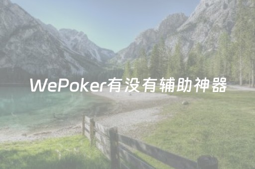 WePoker有没有辅助神器（wepoker操作全过程辅助原来这么简单）