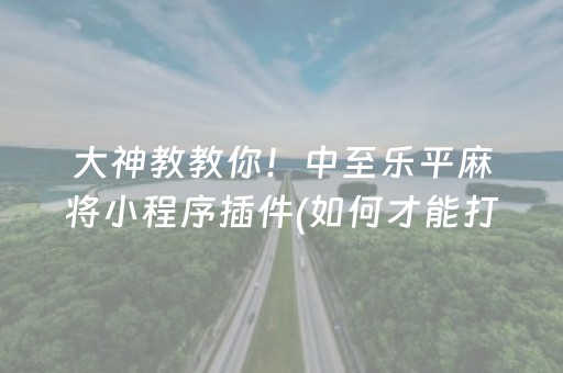 大神教教你！中至乐平麻将小程序插件(如何才能打赢)