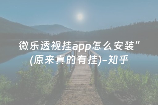 微乐透视挂app怎么安装”(原来真的有挂)-知乎