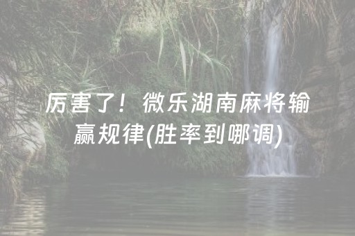 厉害了！微乐湖南麻将输赢规律(胜率到哪调)