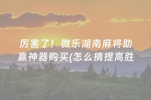 厉害了！微乐湖南麻将助赢神器购买(怎么搞提高胜率)